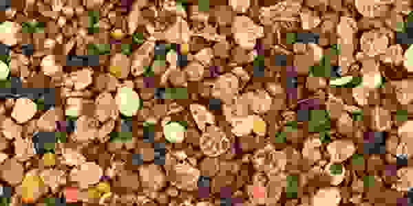 Semillas preparadas para reforestar con dron