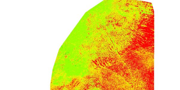 Imagen multiespectral que muestra áreas sin vegetación para ser reforestada con dron