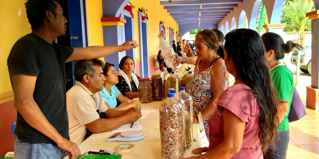 Grupo de mujeres colectoras de semillas para la reforestación con dron