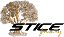 Stice Forestry