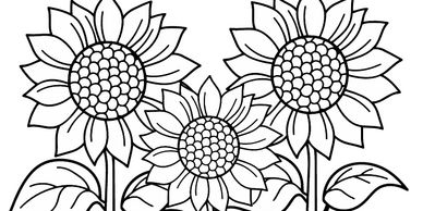 Black and white line drawing of three sunflowers with leaves and stems.