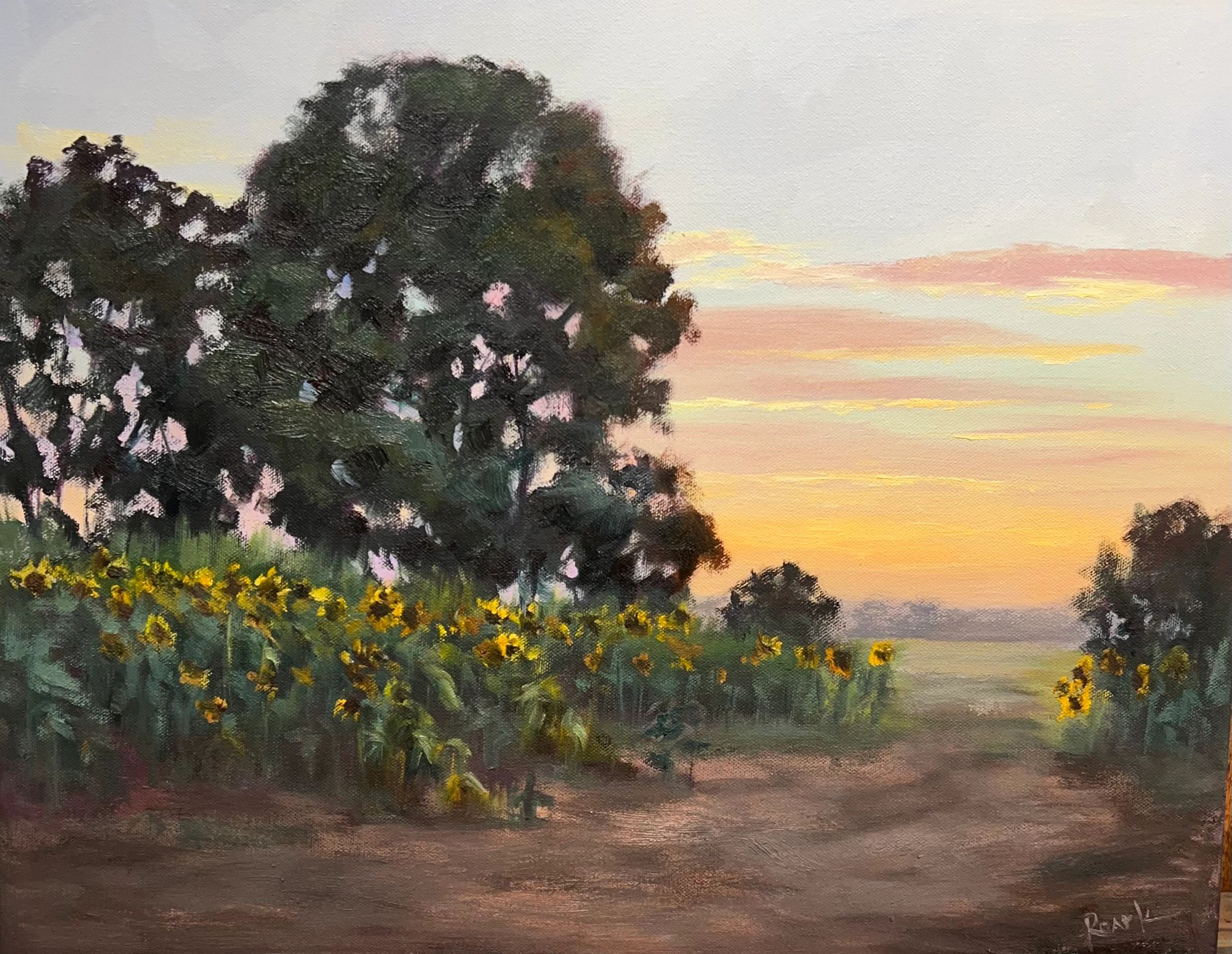 Late Mississippi delta sun backlights sunflowers by Southern Landscape painter Carol Roark
