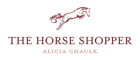 The Horse Shopper