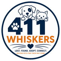 411 Whiskers 🐾