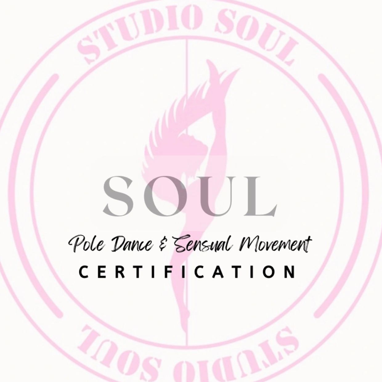 Studio Soul, Pole fitness Cleveland, Soul Certification, Maya Soul