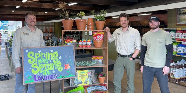 Three men standing next to a spring-themed display in a garden store.