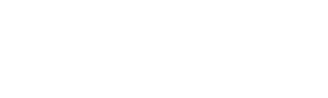 Professional CV