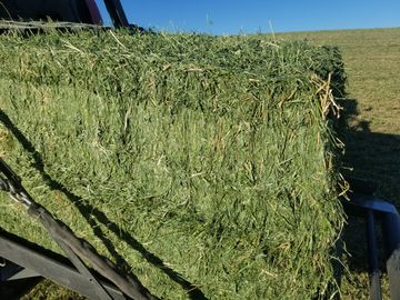 2020 second cutting 100% alfalfa coming out of the baler