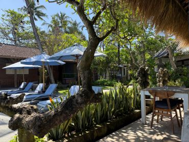 A peaceful outdoor seating area with sun loungers and umbrellas in a tropical garden.