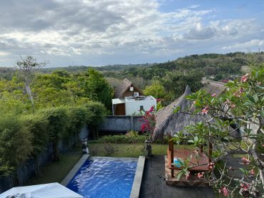 A peaceful backyard with a pool, greenery, and a thatched-roof gazebo under a partly cloudy sky.