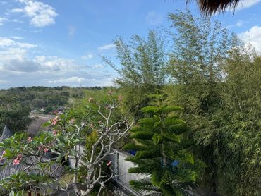 A scenic view of trees and a partly cloudy sky over a distant landscape.