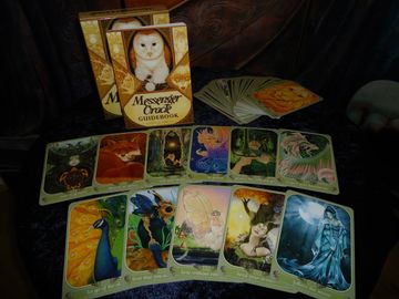 Animal Spirit Messages! Come in for an oracle reading and receive messages from your animal guides!