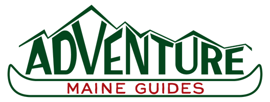 adventuremaineguidesllc.com