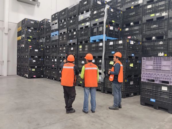 Personal de la empresa realizando una inspección visual unas tarimas de productos