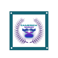 Camerica Insurance