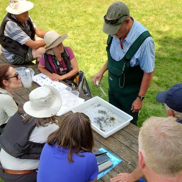 Instructor explains aquatic insects to a group outdoors.