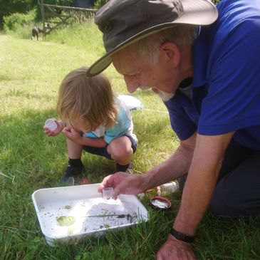 An elderly man and a child examining small creatures on a tray outdoors.