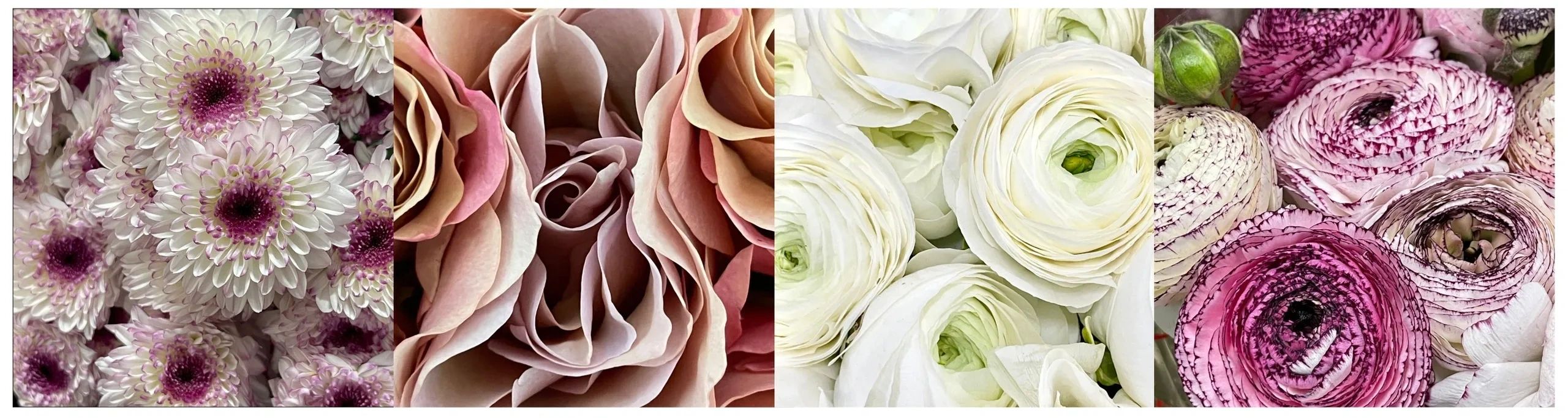Flora North