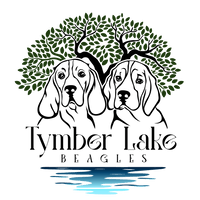 Tymber Lake Beagles