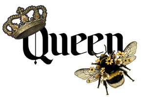 Queen Bee cleaning services 
