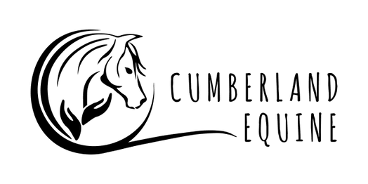 Cumberland Equine