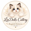 SNOWY DOLLS CATTERY