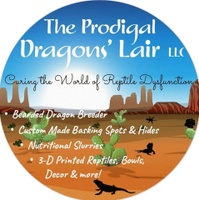 The Prodigal Dragons' Lair