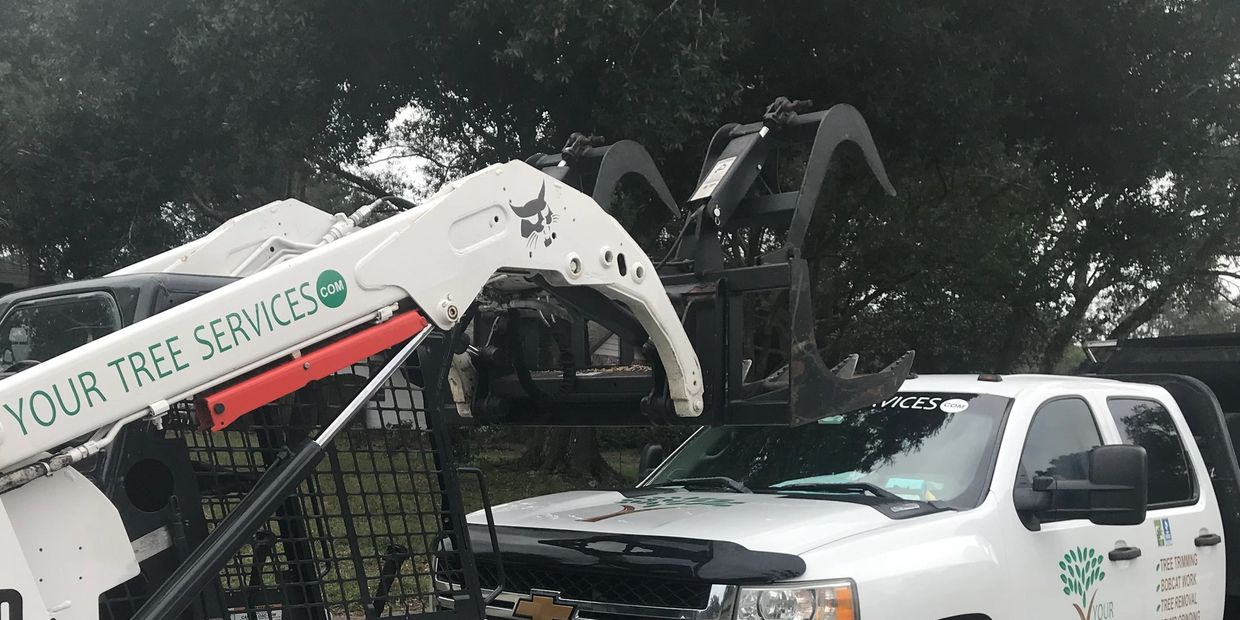 Showing logo branding on bobcat and truck 