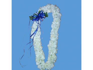 White carnation lei with blue ribbon