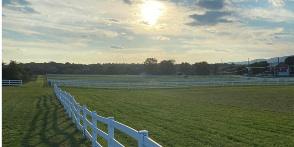 Premier Horse Boarding Facility with Beautiful Pastures with White Fencing