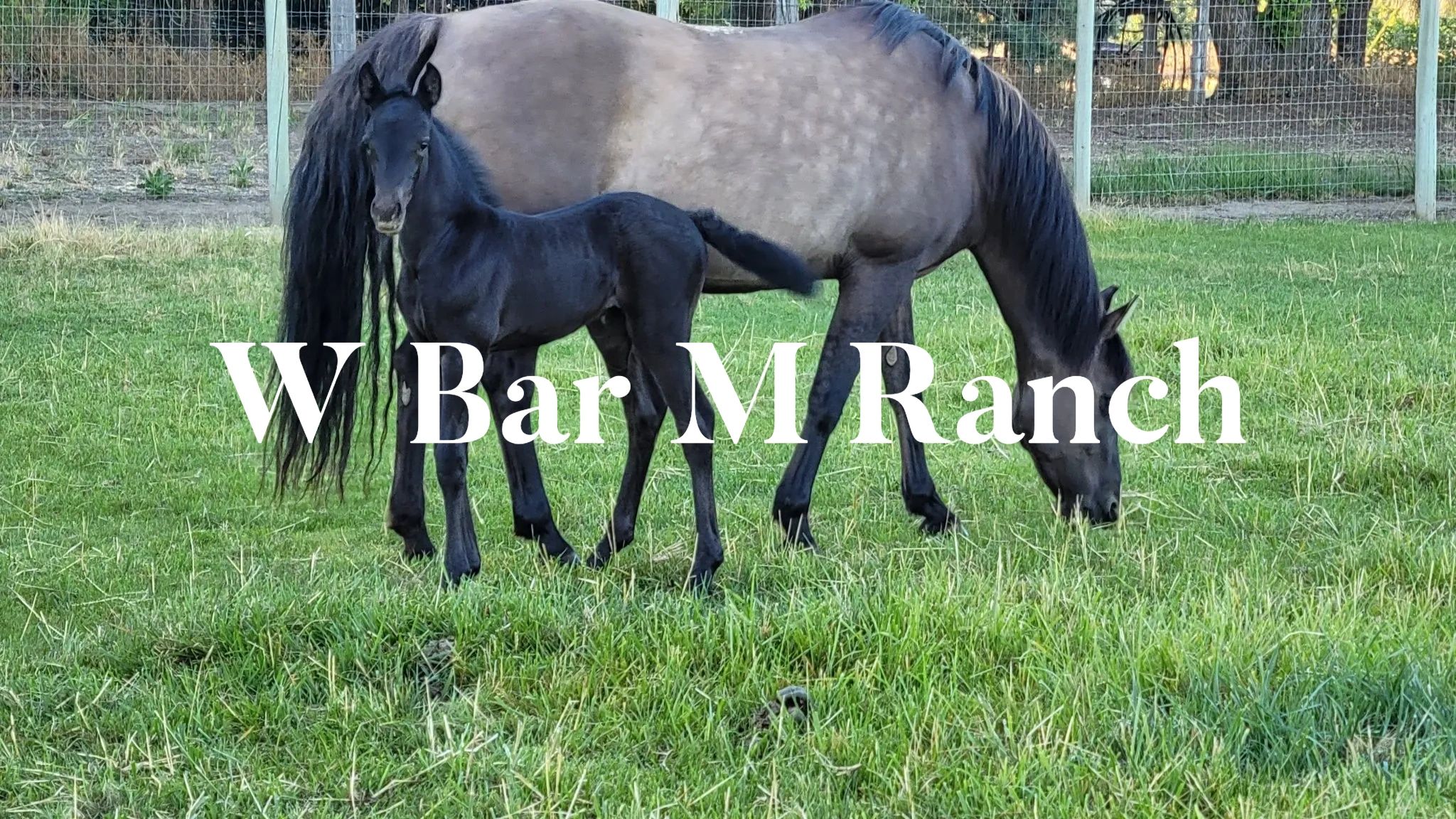W Bar M Ranch