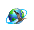 Godwit International