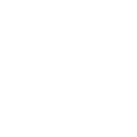 Cake 7