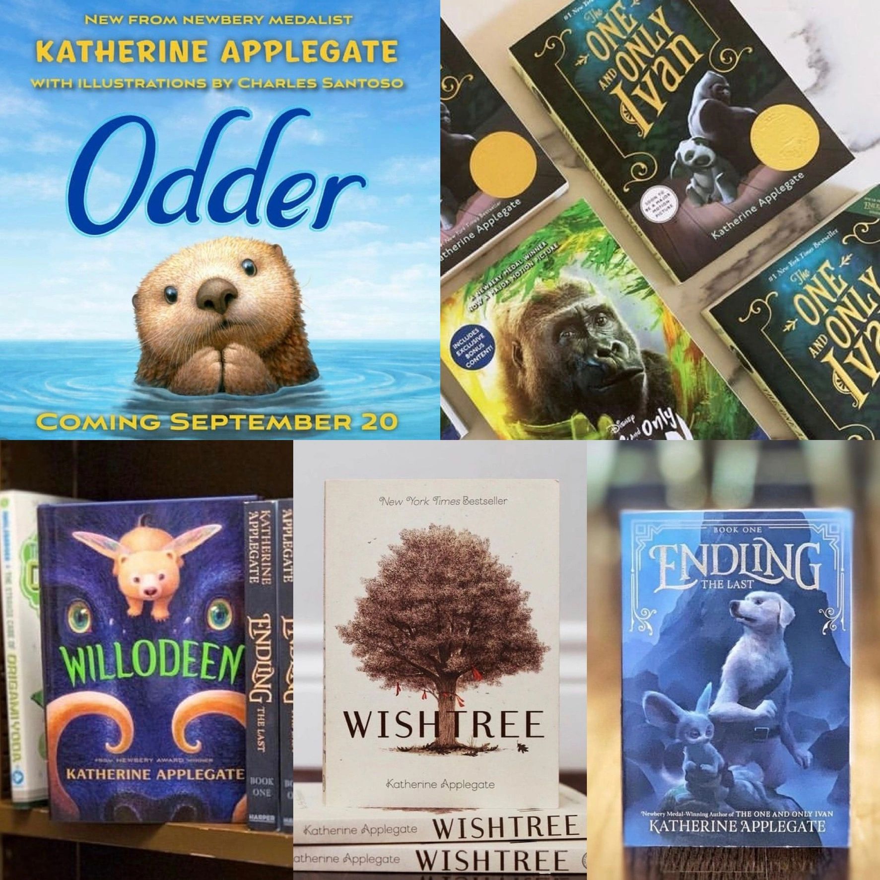 The San Marino Book Fair Company