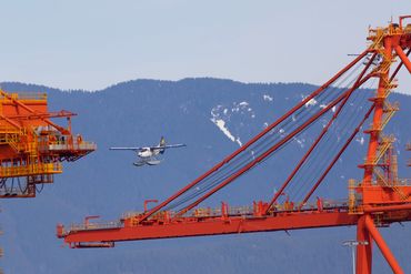 Harbour Air DHC-3 de Havilland Turbine Single Otter dodging the cranes of the Port of Vancouver.