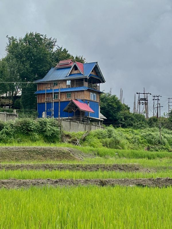 Stargaze Backpackers Ziro 