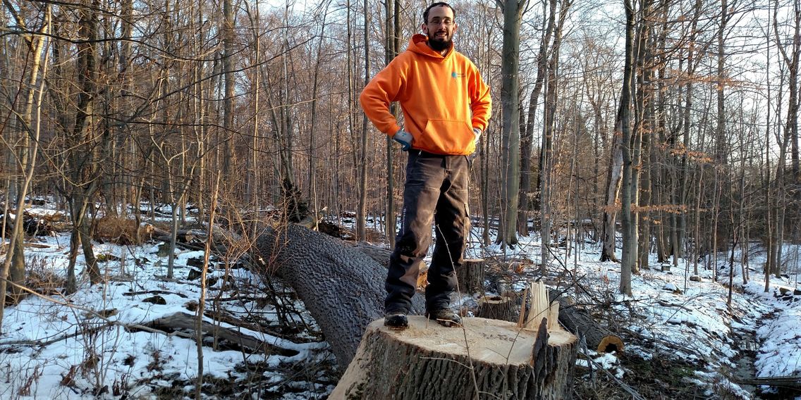 Chris Franke, Barefoot Tree Care owner, after felling tree