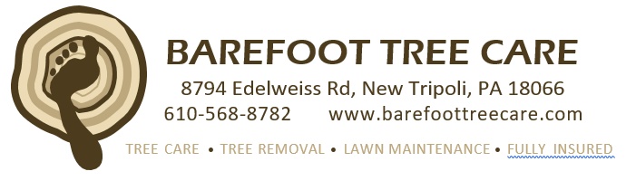 Barefoot Tree Care