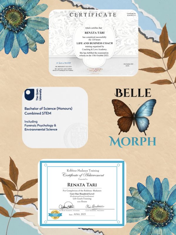 Certificates and logos on a decorated background with blue flowers and a butterfly.