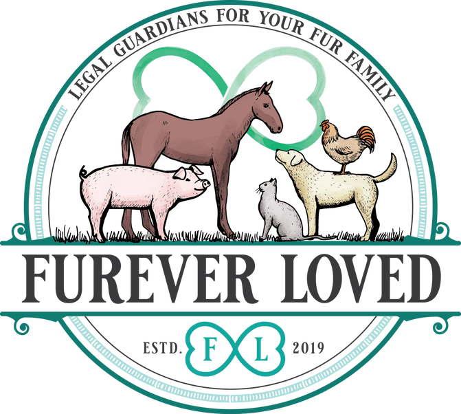 Welcome to Furever Loved. 