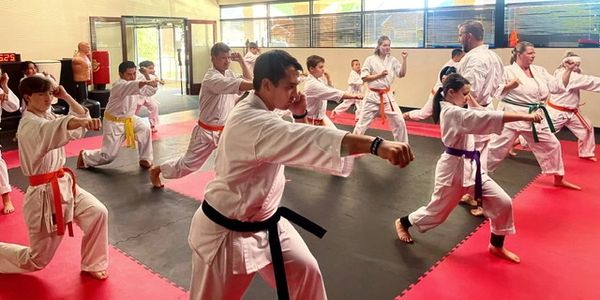 Karate class practicing punches in unison on mats.