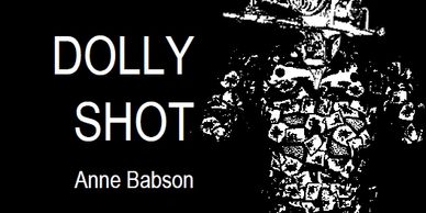 Cover image for Dolly Shot by Anne Babson