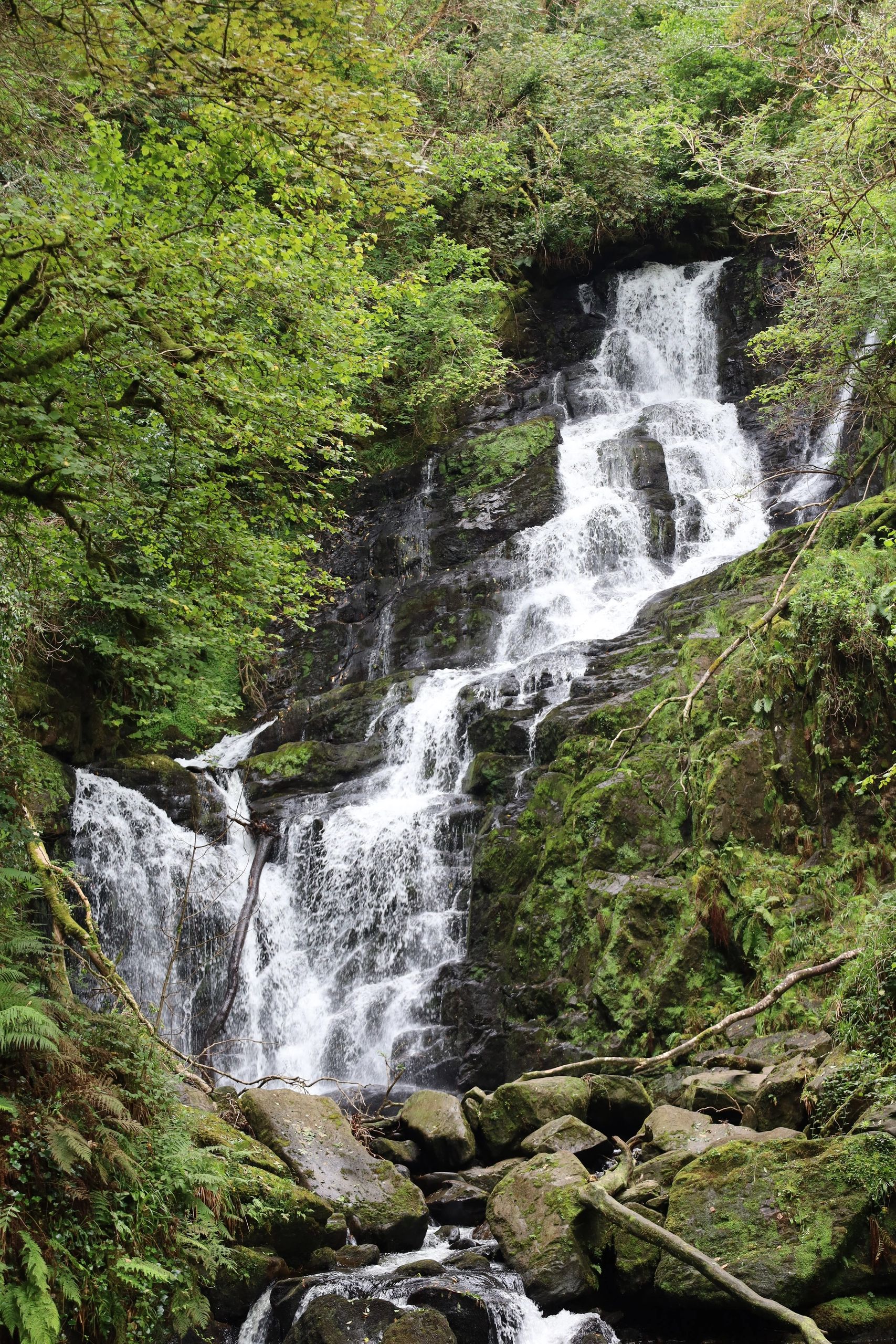 Waterfall cascading through lush green forest.