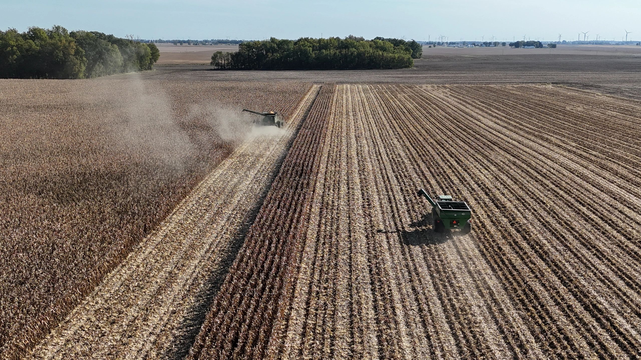 Harvesting corn in a large field with machinery.