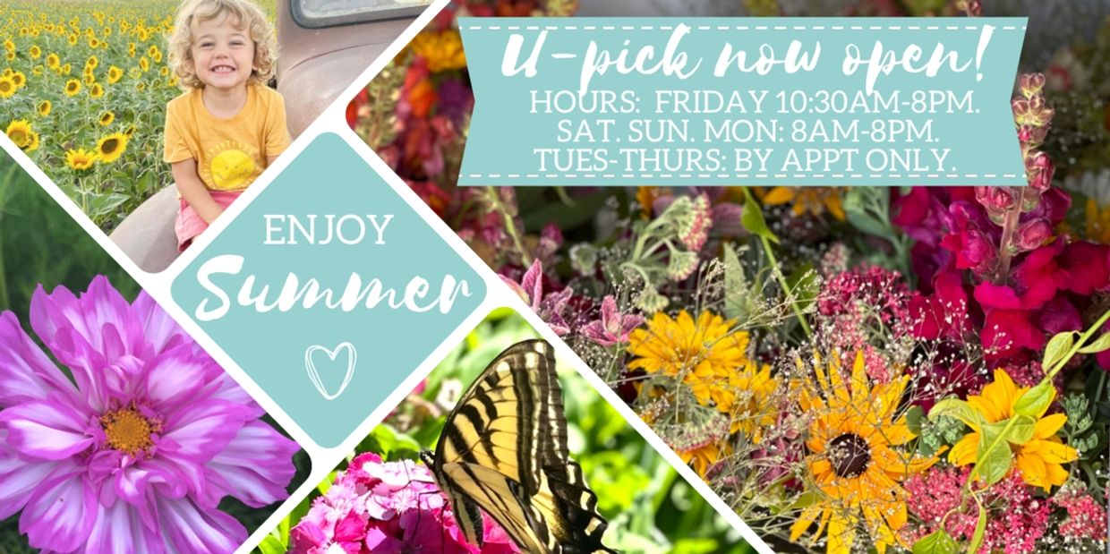 A cheerful summer collage with flowers, a butterfly, and a smiling child, inviting you to enjoy the season.