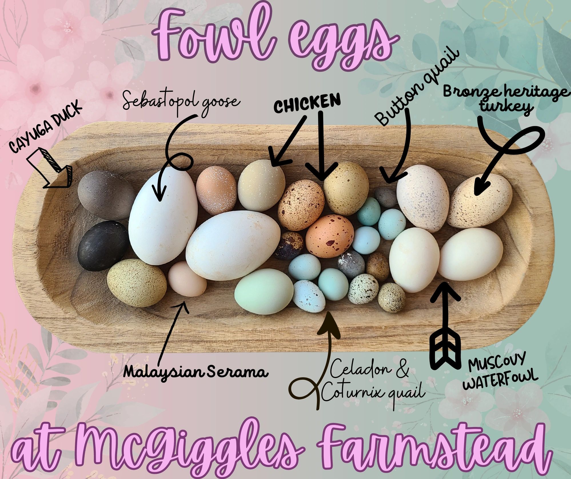 Duck Eggs (dozen) - Farmstead Foods