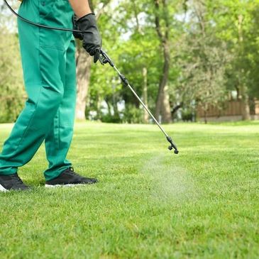 Person spraying pesticide on green grass in a park.
