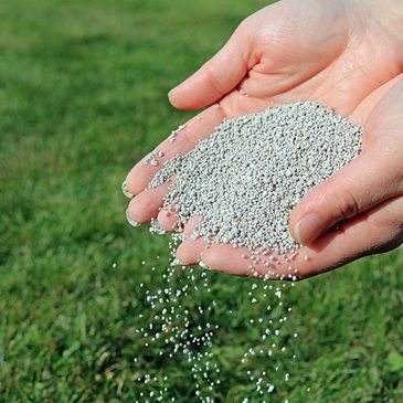 Hands holding and pouring granular fertilizer over grass.