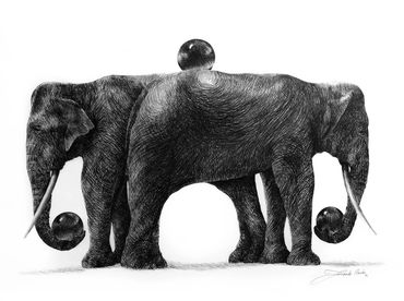Dibujo 
Obra por Fernando Barba
Arte Mexicano 
Artista Chihuahuense