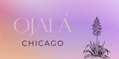 Logo for Ojalá Chicago with an agave plant on a purple-orange gradient background.
